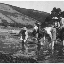Group of girls paddling Original caption: Group of girls paddling