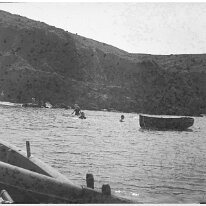 Group swimming. From boat Original caption: Group swimming. From boat