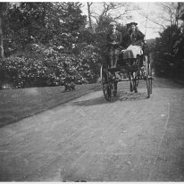 2 facing backwards on a carriage going down the drive Original caption: 2 facing backwards on a carriage going down the drive