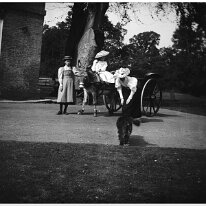 Sybil's donkey cart Sedgeford Hall Original caption: Sybils donkey cart