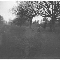 Landscape Original caption: Landscape