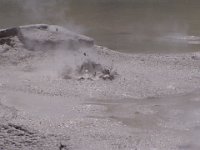 NZ02-Dec-28-12-58-04  Mud (bubbling).