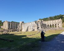 Rievaulx Abbey