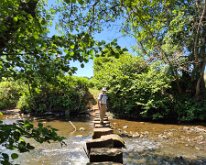 Stepping stones across the Esk