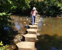 Stepping stones across the Esk