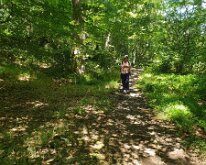 Along the Esk Valley path