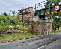 and next to the mainline railway