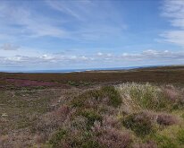Panorama at Hob on the Hill