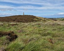 Standing stone