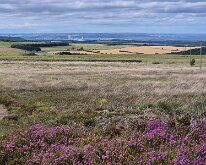 View towards Hartlepool