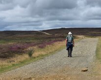 Heading for Beacon Hill