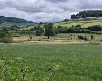 Little Fryup Dale. Ruins of Danby Castle top right