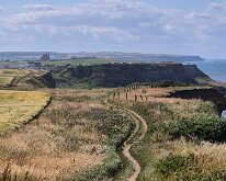 View back to Whitby from the coast path
