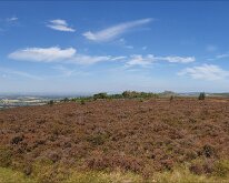Panorama at the Captain Cook monument with Roseberry Topping in the distance