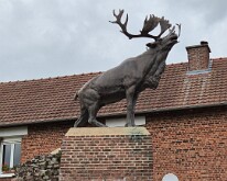 The Newfoundland Monchy-le-Preux War Memorial for the actions of the Royal Newfoundland Regiment