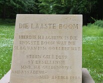 Marker stone for the last tree left standing after the Battle of Delville Wood, 14-19 July 1916 (Afrikaans)