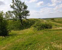 Shell holes at La Boisselle