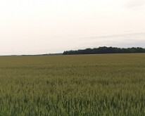 View over the Somme battlefield including High Wood and Delville Wood from near the New Zealand Division memorial, Longueval