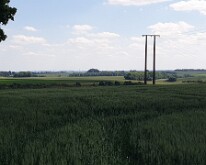 View to Talus Boise from Montauban de Picardie Talus Boise is where the South African forces gathered after being withdrawn from Delville Wood