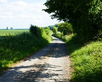 Another view of the sunken road