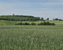 The Thiepval memorial from the circular walk