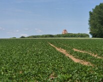 Thiepval memorial