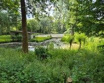 Pond on the banks of the Ancre