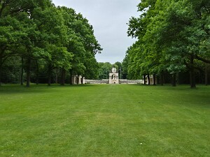 Albert & Delville Wood