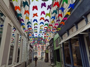 Arras