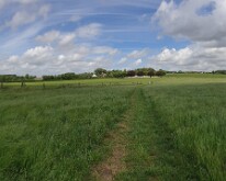 Panorama of the area where Zouave Wood once stood Reggie was wounded at Zouave Wood on 31st May 1915 on the approach to Hooge Chateau