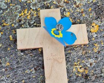 Poppy at the German cemetery