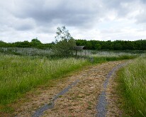 The area where the South African Brigade attacked on the 20th Sept 1917. The area is now a nature conservation area having been reclaimed from a rubbish dump