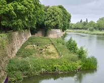 View over Ieper walls How did that sheep get there?